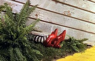 Wizard of oz house falls on witch